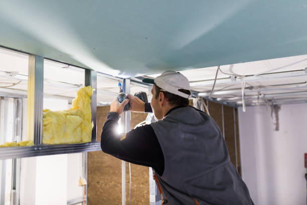 Best Blown-in Insulation in Prices Fork, VA