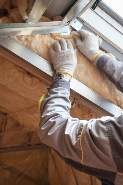Best Insulation Maintenance and Repair in Prices Fork, VA