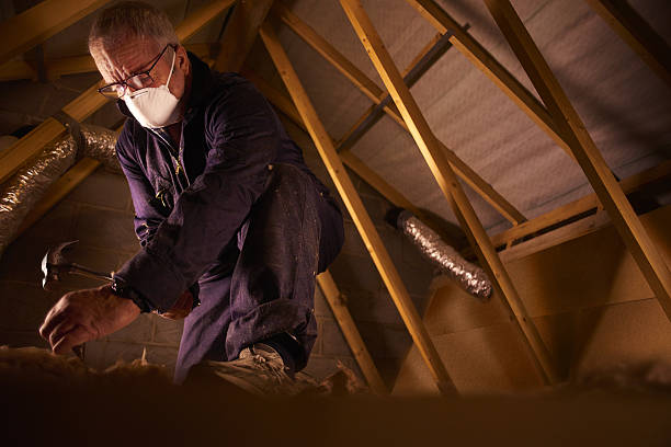 Best Eco-Friendly Insulation in Prices Fork, VA